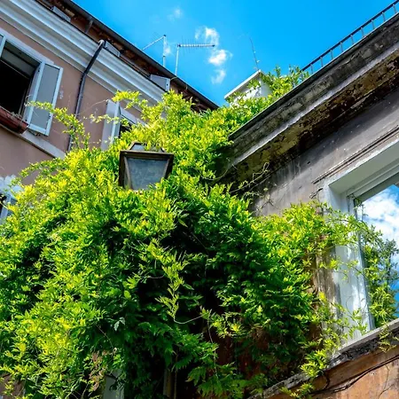 Lägenhetshotell Navona Open Space