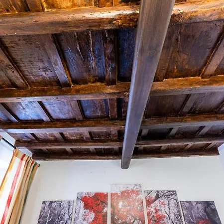 Navona Open Space Apartments 4* Rome