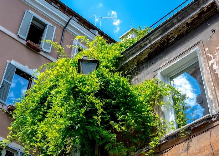 Appart hôtel Navona Open Space